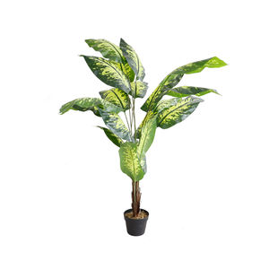 常緑観賞用樹木人工植物の屋内タイプ - Product Image 1