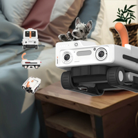 Mobile Haustier-Kamera-Roboter mit KI-Hinderniserkennung, Gesundheitsberichten, Nachtsicht, Rechteckigem Design und Ultralangzeit-Akku für Katzen und Hunde, ABS