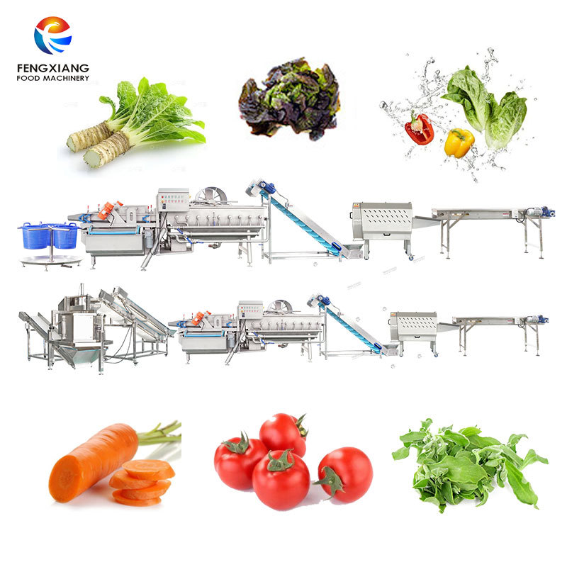 Customized Salad Production Line Automatic Engineer