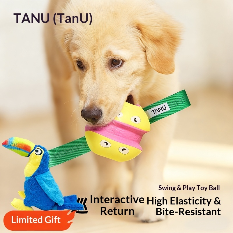 High-Elasticity TPU Sport Dog Chew Toy Ball – Durable Waterproof Fetch & Tug Ball - View 5