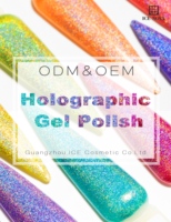 Kit de vernis gel holographique laser arc-en-ciel BD, sans TPO, sans HEMA, OEM ODM, sans avis