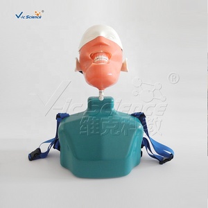 Maniquí de Cabeza para Prácticas de Enseñanza en Odontología, Equipo de Entrenamiento Dental, Simulador de Cabeza Fantasma con Simulación de Hombros y Cuerpo - Product Image 5