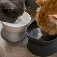 Gamelle grande capacité pour chats et chiens de petite à moyenne taille, anti-renversement, design mignon, pour la protection du cou des animaux
