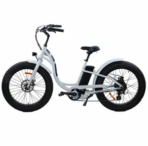 high power easy ride electric bike tektro disc brake lady e bike step through 24 inch fat bike