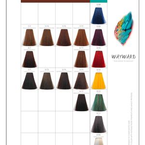 Nuancier de Couleurs de Cheveux Wayward Brand 45 Couleurs Naturelles Noir Brun Foncé - Product Image 5