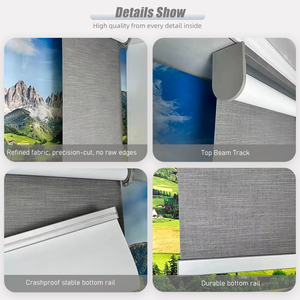 Mechanical Full Window <strong>Roller</strong> <strong>Blind</strong> Blackout Automatic <strong>Blinds</strong> <strong>Smart</strong> Shades Motorized <strong>Roller</strong> <strong>Blinds</strong> - Product Image 6