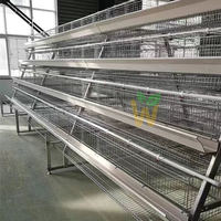 Cage à poules pondeuses automatique de type A à 4 niveaux pour ferme, capacité de 10 000 oiseaux, équipement avicole galvanisé à chaud pour la ponte des œufs