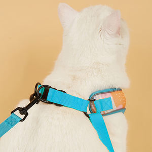 <span class=keywords><strong>Harness</strong></span> Hewan Peliharaan Desain Baru <span class=keywords><strong>2026</strong></span> 3-in-1 Rompi Anjing dengan Tas Poppy untuk Jalan-jalan di Luar Ruangan, Dapat Disesuaikan dalam 2 Warna, Grosir - Product Image 5