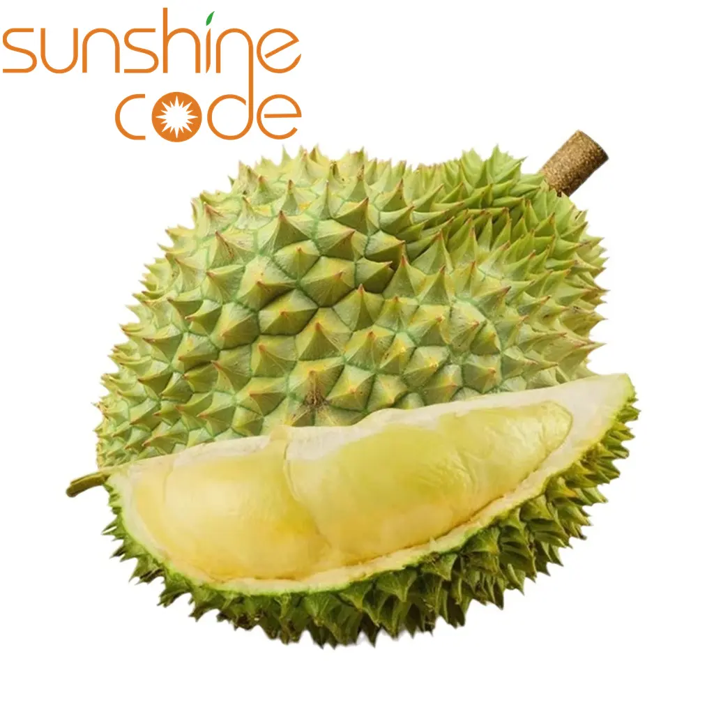 Durian frais ri6 vietnam durian pemasok ri6 durian segar importir