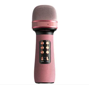 Microphone portatif sans fil à condensateur WS898, pour cadeau d'enfants, vente en gros, USB avec changement de voix