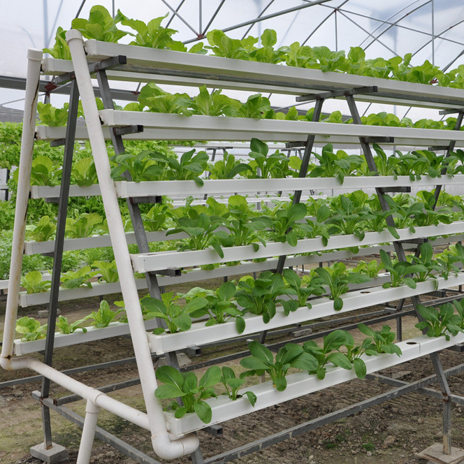 Irrigation Hydroponics Equipment Pvc Hydroponic System