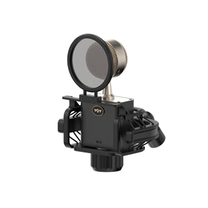 797Audio CR632 34mm Large Diaphragm Capsule Handheld Condenser Microphone with High Sensitivity XLR Connection for Studio Use - Product Image 1
