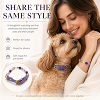 Großhandel Luxus-Set: Passendes Haustier-Halsband & Armband für Besitzer, Verstellbares Naturstein-Perlen-Kristall-Hundehalsband als Geschenk