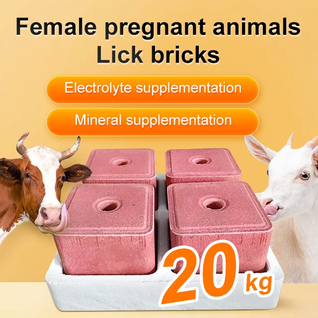 Mattoni minerali di sale dell'himalaya per animali in gravidanza più sicuri e convenienti