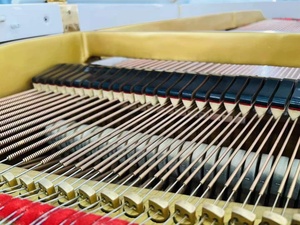 Pianos à queue d'occasion <span class=keywords><strong>Yamaha</strong></span> à vendre - Product Image 6