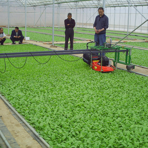 חקלאות חממה מסגרת multispan גידול ירקות מנהרת רב תוחלת סרט חממה - Product Image 4