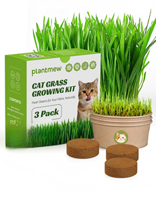 Cat Grass Kit for Indoor Cats Fast-Growing with Eco-Friendly Biodegradable Pots Soil &amp; <strong>Wheatgrass</strong> <strong>Seeds</strong> - Product Image 1