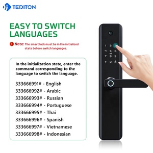 Tediton-cerradura de puerta de identificación facial, con código de huella dactilar, Rfid - Product Image 2