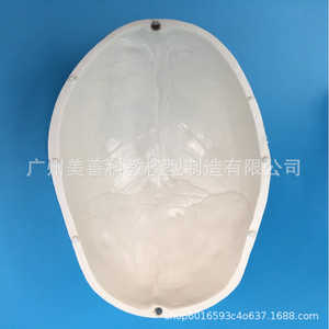 Modelo de esqueleto humano a escala 1:1, adorno de calavera de resina, decoración de oficina. - Product Image 4