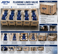 Vanne de retenue à disque inclinable DN250 à brides, revêtement ETFE, anti-corrosion, pour produits chimiques, fournisseur OEM