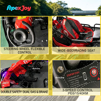 ApexJoy STAR Speed Family - Kart électrique 2 places 800W double moteur, charge 200kg, location FEC, vente en gros B2B, buggy à profit maximal