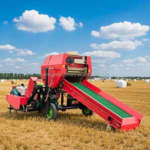 Mini-Silageballenpresse mit Dieselmotor, Mais-Silage-Ballenpresse und Wickelmaschine zum Verkauf - Product Image 4