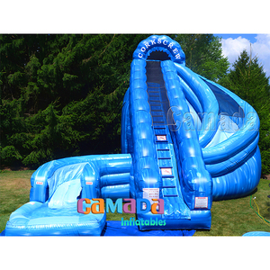 Patio trasero Niños Kid Slides <span class=keywords><strong>Castillo</strong></span> saltador hinchable Bouncing Jeux De Toboggan Aquatique Coconut Falls Tobogán acuático inflable - Product Image 4