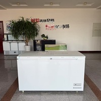 Compresseur Offre Spéciale Mini Réfrigérateur Avec Congélateur pour Boisson/Nourriture Avec Certificat Ce/cb