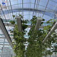 Bac de culture électrique réglable pour serre, pour la culture de tomates et de fraises