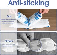 Pack de glace sèche en gel pour glacière alimentaire jetable en plastique personnalisable avec logo, feuille de congélation avec logo pour boîte à lunch