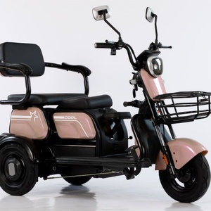 Triciclo Eléctrico de 800W con Motor de 48v, Certificado EEC para Adultos, Tipo de Carrocería Cerrada y Abierta para Pasajeros y Carga, Scooter de Movilidad - Product Image 5