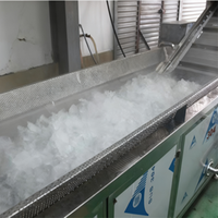 Frietjes Was-En Blancheermachine Voor De Groente-En Fruitverwerkende Industrie