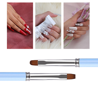 Lot de 15 pinceaux de nail art rose et bleu ombré avec manche métallique, personnalisables avec logo, pour gel, liner, peinture et manucure ombrée