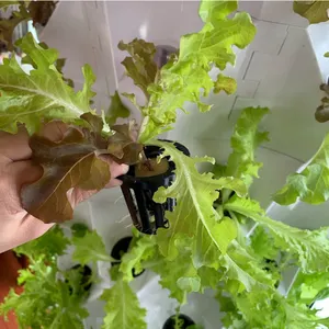 Yeni stil dikey hidroponik kule hidroponik yetiştirme sistemi soilless yetiştirme sebze ekipmanları dikey Aeroponics kulesi