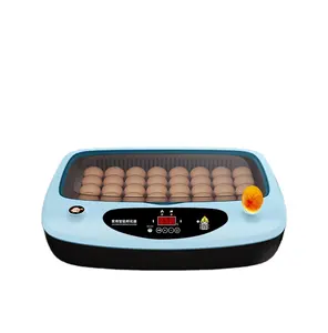 Meilleure qualité 24 œufs incubateur utilisation familiale œufs à couver Machine