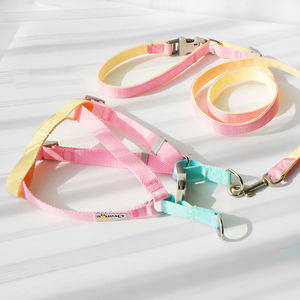 Nieuwe Trend Kleurrijke Y-Vorm Harnas Set Voor Huisdieren Op Maat Teddy <span class=keywords><strong>Pomeranian</strong></span> Hond Halsband Harnas Riem Set - Product Image 1