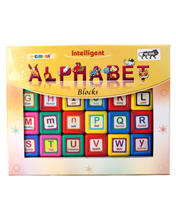 GIRNAR INTELLIGENT BLOCKSA complete educative set of 24 kindergarten blocks with alphabets and other descriptive pictures - Product Image 1