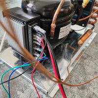 BD25H Mini unité de condensation Bldcm compresseur convient aux réfrigérateurs et congélateurs Micro unité de réfrigération 12/24V R134a