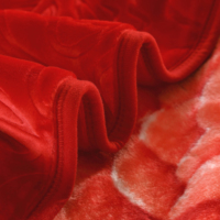 Couverture d'hiver douce en vison Raschel épais en peluche pour lit de maison Matériau en polyester de qualité supérieure