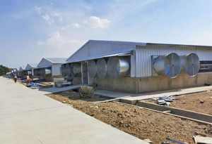 Fermes avicoles préfabriquées Hangar pour poulets Canard Cochon Vache Volaille Hangar pour porcs personnalisé Conception de bâtiment de ferme Semie Cheval Ferme Maison Écurie - Product Image 2