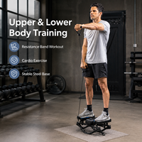 Mini Stepper d'Exercice BNcompany TBJ-001 Cardio Twister en Acier pour Cardio-training
