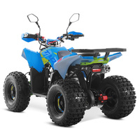 Quadricycle Tao Motor 2025 tout-terrain, économique, à essence, Cuatrimoto, automatique, moteur 4 temps 125cc