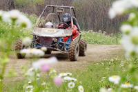 Logiciel de rue pour adulte, Buggy 4x4, 2 sièges, bon marché, offre spéciale, 2020