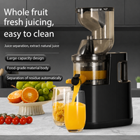 Commerciële koudgeperste sapcentrifuge met brede invoeropening voor fruit en groenten, hoogwaardige motor, sapcentrifuge van hoge kwaliteit
