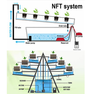 Sistema de Cultivo Hidropónico <span class=keywords><strong>NFT</strong></span> sin Suelo al por Mayor, Sistema de Cultivo en Canales de PVC - Product Image 3