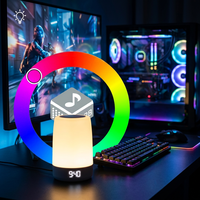RGB Gaming Weißes Rauschen Schlafmaschine 32 Hi-Fi-Sounds Farbenfrohe Lichtshow Wiederaufladbar Tragbares Heimkino Fernbedienung Audio