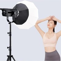 Lumière vidéo LED haute puissance COB, lumière continue pour studio photo avec monture Bowens, réflecteur pour portrait et diffusion en direct