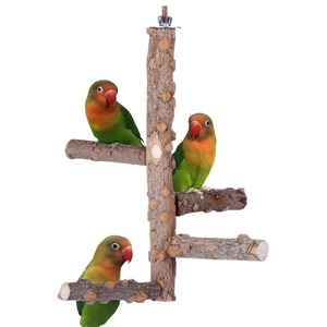 Toptan kuş levrek standı oyuncak ahşap papağan levrek kuş kafesi şube levrek aksesuarları için Parakeets atiatiels Conures <span class=keywords><strong>Macaws</strong></span> - Product Image 1