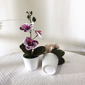 Nuevo Bonsái de Phalaenopsis Artificial en Maceta con Tres Flores y Tres Hojas, Película 3D, Planta Artificial en Maceta para Interiores/Restaurantes - Product Image 2