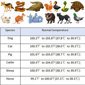Termometro Digitale Veterinario con Punta Flessibile Morbida Termometro Rettale Termometro Clinico Veterinario per Animali di Grossa Taglia - Product Image 6